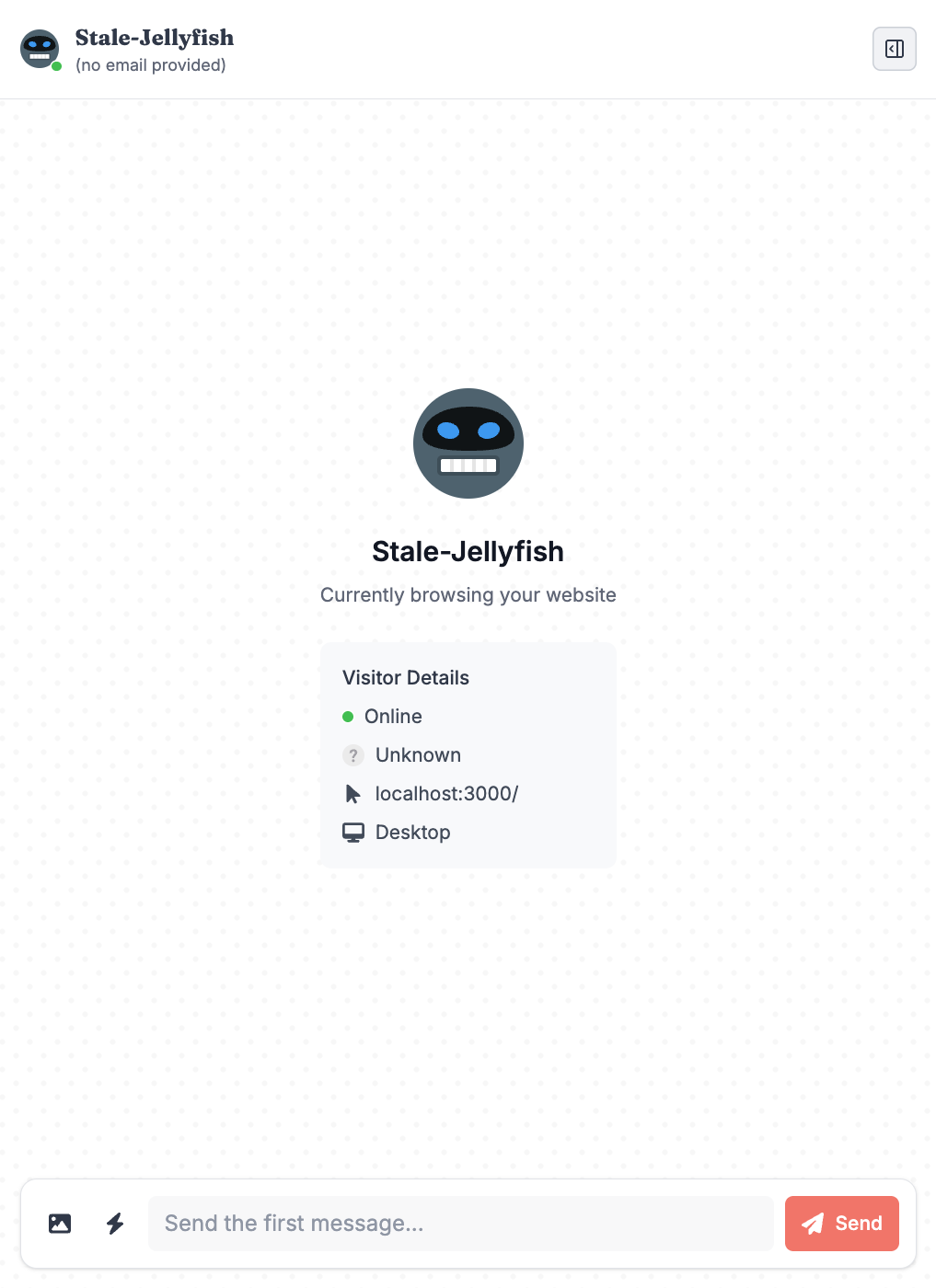 Visitor Profile Details